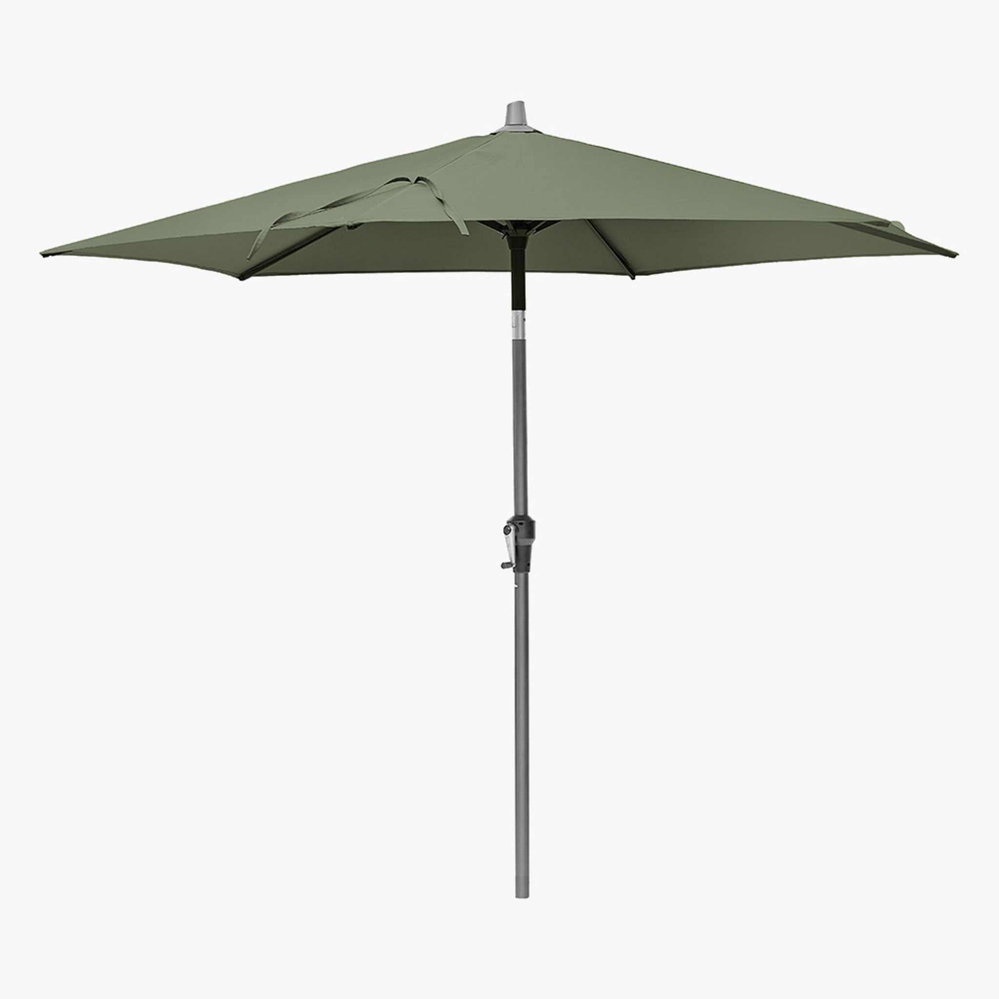 5m Round Olive Parasol