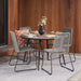 Pang 4 Seater Dining Set Mink