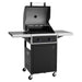 Tepro - Gas 2 Burner Keansburg BBQ