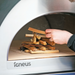 Igneus Pro 750 Pizza Oven - Black